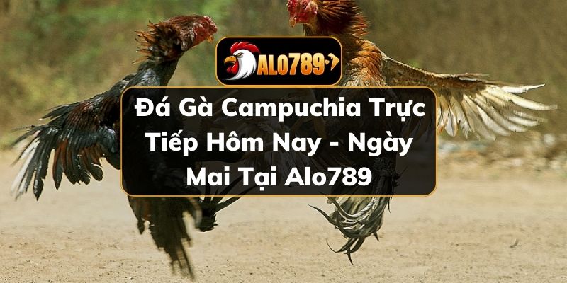 Đá gà Campuchia
