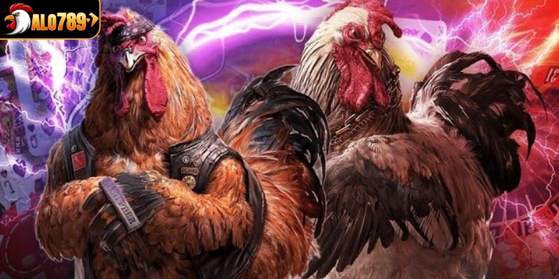 Các hình thức đá gà phổ biến hay gặp tại hệ thống