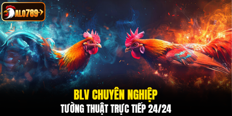 BLV chuyên nghiệp, tường thuật trực tiếp 24/24
